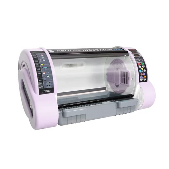 0550721c-a57d-4bba-b0b9-1532d565953b