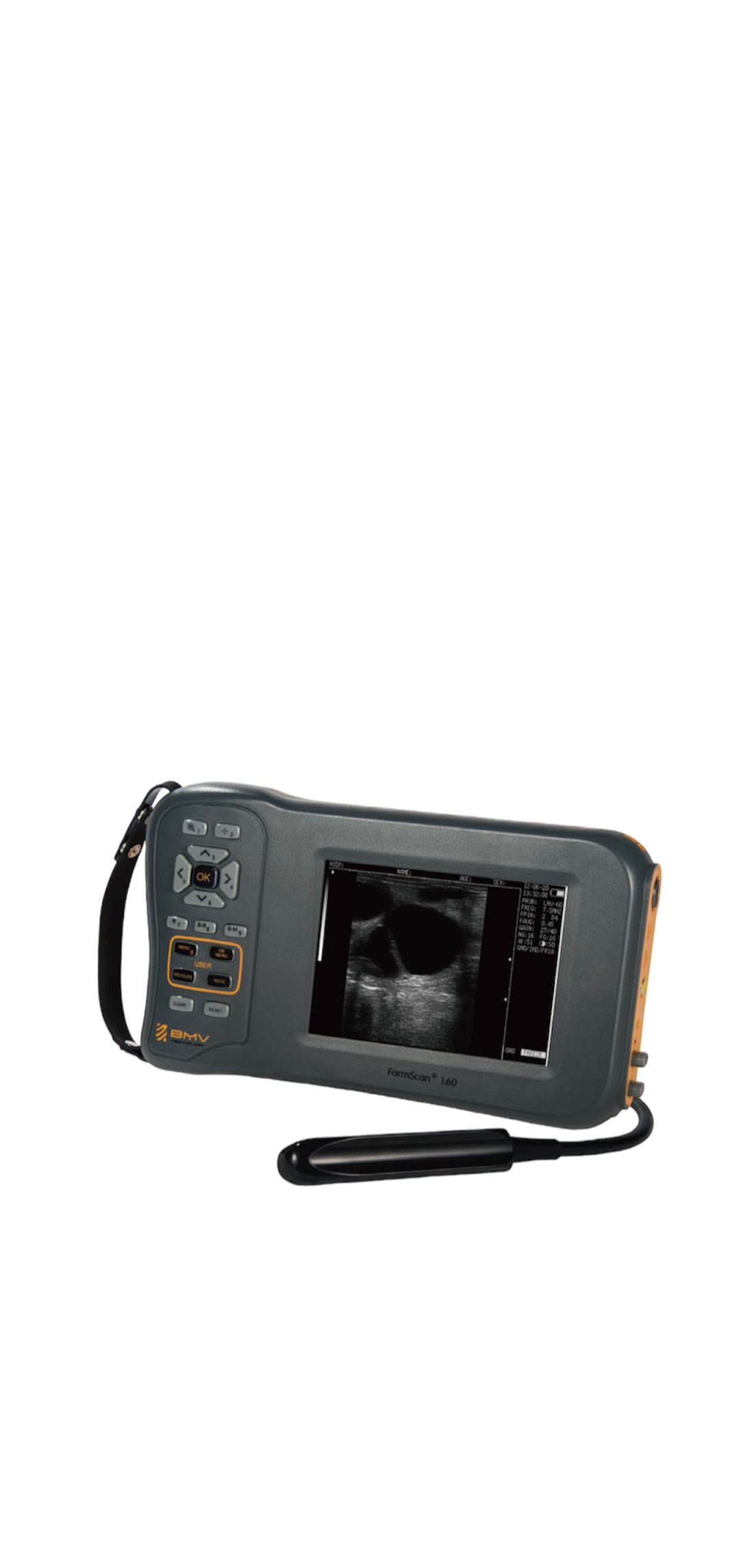 PhotoRoom_20240122_105645