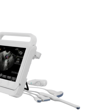 BMV Color Dopler Ultrasound