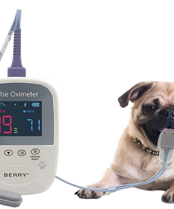 Pulse Oximeter