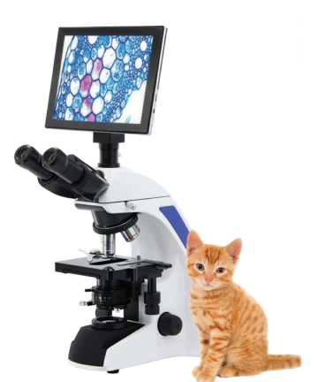 Microscope With Touch screer