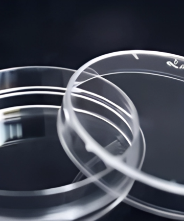 Petri Dish