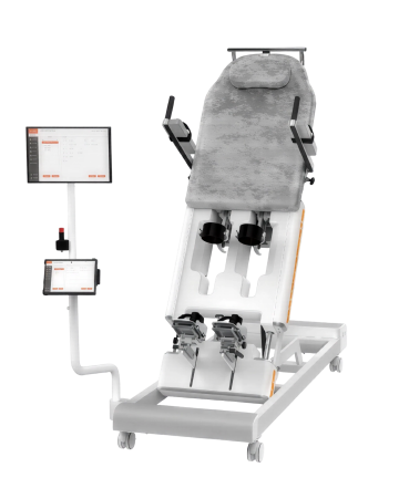 lower limb