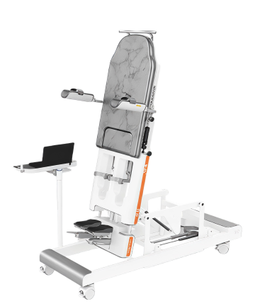 lower limb