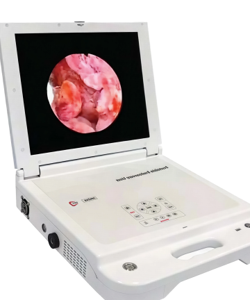 Endoscope