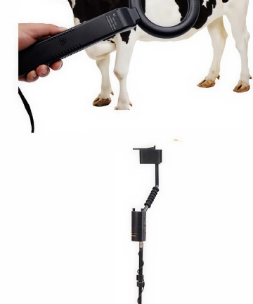 Metal Detector Models