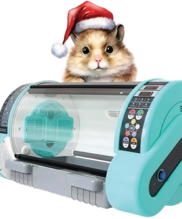 Incubator model 2